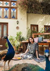 Robe ethnique pakistanaise d'hiver de luxe de haute qualité pour femmes, Salwar Kameez décontracté, prix de gros, best-seller - Product Image 2