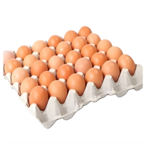Huevos de gallina de alta calidad, frescos de granja, blancos y marrones, de grado alimenticio, proveedor mayorista para exportación. - Product Image 2