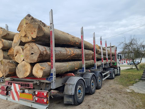 Gabon Origin African Hardwood Timber Bulk Wholesale Supplier for Importers Exporters <b>Builders</b> and Traders - Product Image 6