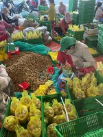 Premium Vietnam Geteelde Idor Longan Rijk Aan Smaak En Aroma Zorgvuldig Geselecteerd Voor Export En Internationale Voedselmarkten
