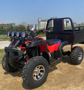 Quad agricole électrique automatique Mademoto 3 kW avec démarrage par bouton - Product Image 1