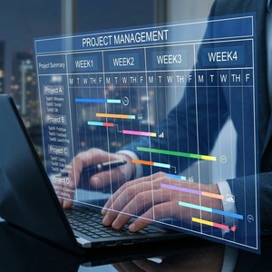 Servicios de Desarrollo de Software de Escritorio Avanzado, Aplicaciones de Alto Rendimiento, Arquitectura Nativa y Soluciones Empresariales - Product Image 1