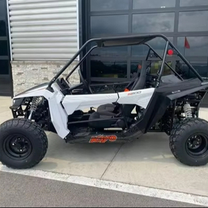 Original Selling 2025 Kayo S200 <b>UTV</b> FOR ADULT - Product Image 1