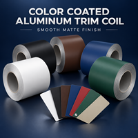Bobine d'aluminium prépeinte pour le travail des métaux, sélection de couleurs 3003 3104 3105 avec épaisseur et largeur personnalisées