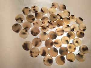 2-Hole 4-Hole Natural Colour Horn <b>Buttons</b> Natural Material for <b>Suits</b> and Shirts - Product Image 2