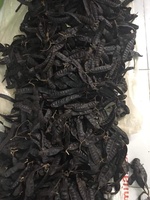 Groothandel Honinghoutvrucht Boket Zaad voor Haaruitval & Zwak Haarverzorging Natuurlijke Shampoo Plantenextract Bulkverpakking