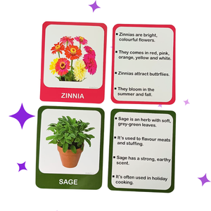Tarjetas de Memoria de Plástico Personalizadas con Plantas y Flores, Juego Educativo de 30 Piezas, Laminadas por Ambos Lados, 300 GSM, para Niños - Product Image 5