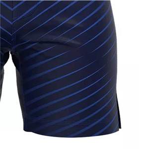 Shorts de MMA pour hommes Handiri Sports, ajustés, imprimés par sublimation, bleus, évacuant l'humidité, séchage rapide - Product Image 3