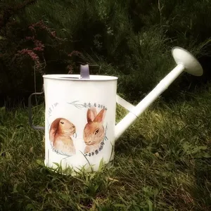 Arrosoir en aluminium durable et personnalisable avec surface de revêtement en poudre pour les jardiniers amateurs et l'entretien des plantes d'intérieur - Product Image 1