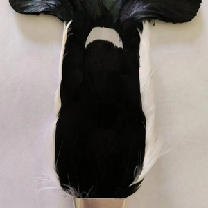 ขนนกสีน้ำเงินแบบดั้งเดิม ใช้สำหรับตกแต่งบนเครื่องประดับศีรษะ เช่น หมวกกลีนการ์รีหรือหมวกบาลโมราล - Product Image 1