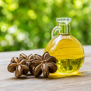 VIETNAM PURE SACHI INCHI OIL NATURAL SKINCARE AND FOOD GRADE OIL EXPORTER/ Ms. Alina - Product Image 3