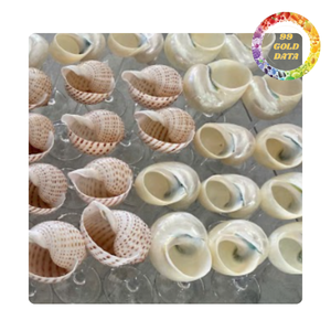 Handmade seashell wine glass natural shell <b>goblet</b> for wine cocktail and home decor supply - Product Image 5