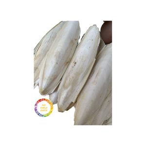 Cuttlebone para alimentación de acuicultura mejora la fuerza de la carcasa en animales acuáticos, suministro a granel - Product Image 6