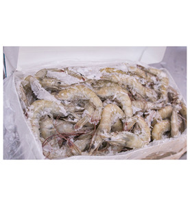 กุ้งขาวหัวขาดหางขาด แช่แข็ง บรรจุกล่อง 5 กก. อายุการเก็บรักษา 12 เดือน จากแอฟริกาใต้ ราคาดีที่สุด - Product Image 2