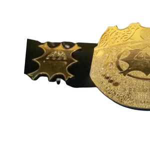 Ceinture de championnat de lutte plaquée or, design haut de gamme, personnalisable, ceintures sportives de collection de haute qualité - Product Image 3