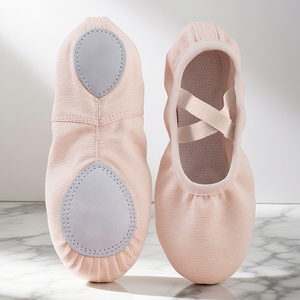 Wholesale Custom Women Modern Dance Basic <b>Practice</b> Shoes Leather Sole Canvas Training Shoes High Quality Women Ballet Dancing - Product Image 2