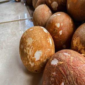 Coco Seco Indio Premium Natural en Rodajas, Copra Madura de Nueva Temporada, Procesado por Deshidratación (FD), Dulce, para Procesamiento Comercial de Alimentos, Venta al por Mayor - Product Image 5