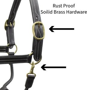 Harnais en cuir ferme pour cheval, têtière structurée, réglable, durable, pour l'entraînement, l'extérieur et la manipulation quotidienne, harnais en cuir pour chevaux - Product Image 3