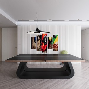 Mesa de Ping Pong Takamaka de Lujo Moderna con Base Curva Única, Mesa de Juego Profesional para Interiores - Product Image 3
