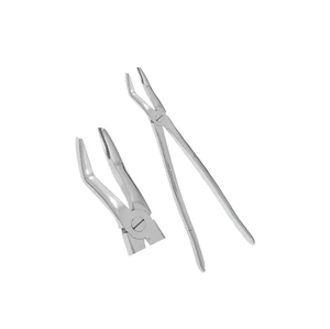 Pinzas de Extracción de Dientes de Lobo Equinos – Acero Inoxidable (Todos los Tamaños Disponibles) Instrumento Veterinario para Odontología Equina - Product Image 6