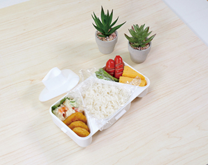 Lonchera Bento Portátil de Plástico Ligero de una Sola Capa, Marca PEARL, Estilo Japonés, Apta para Microondas, Tapa Extraíble, Fácil de Usar, para Onigiri - Product Image 4