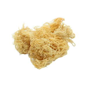 Fabricante de Musgo Marino Seco Silvestre de Vietnam, OEM, Marca Privada, Venta al por Mayor, Proveedor de Exportación - Product Image 4