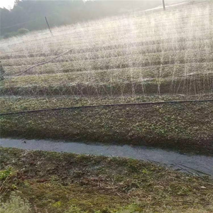 ท่อน้ำฝนกันระเบิด7หลุม40มม. วัสดุอันตรายโซน - Product Image 1