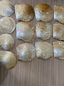 Bandeja Ovalada de Concha Pulida con Adornos Dorados, Abulón Natural, Decoración para el Hogar, Estilo Antiguo - Product Image 6