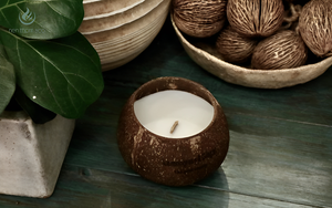 OFFRE LIMITÉE - Bougie en cire de noix de coco - Parfum naturel - Écologique - Décoration et cadeau - Product Image 2