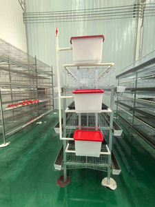 Sistema di Gabbie per Polli a 3/4 Livelli, 96/160 Posti, Gabbia Automatica per Allevamento, Resistente e di Alta Qualità - Product Image 4