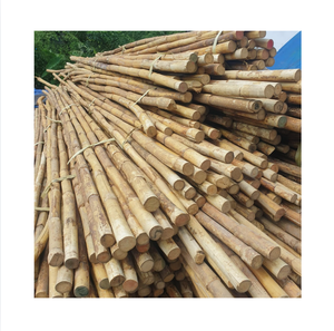 Varas de Ratán Natural, Forma de Caña, 2m de Largo, 2m de Diámetro, Origen Quang Binh, Vietnam, Marca 99GD, Modelo Emma, Artesanía para Muebles - Product Image 1
