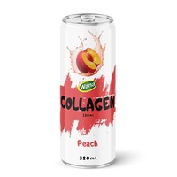 OEM ODM 320ml Mangue et Pastèque Collagène Jus de fruits Prêt à boire Vitamine C Enrichi