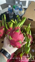 Zachtzoete, frisse, licht verfrissende smaak. Natuurlijk vers premium drakenvrucht OEM ODM export gezonde producten 100% natuurlijk diepvries.