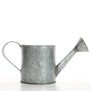 Regadera de metal galvanizado vintage para plantas de interior y exterior, con boquilla pulverizadora extraíble para jardinería. - Product Image 4