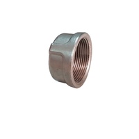 Tapa de Tubería de Acero Inoxidable Chico de Alta Calidad de 2-1/2 Pulgadas, 1 Año de Garantía, Embalaje Personalizado OEM/ODM, MOQ 100 Piezas para Diversas Industrias