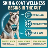 Suplemen Pencernaan Anjing Bentuk Kunyah Tablet Labu Probiotik Multivitamin Penyerapan Cepat Kesehatan Usus Dukungan Imunitas Bebas Biji-bijian OEM