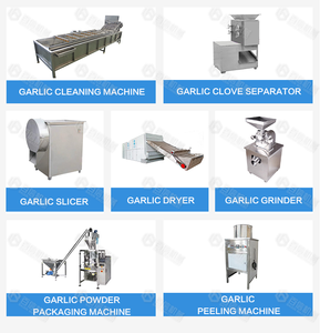 La poudre d'ail industrielle d'approvisionnement d'usine font la ligne de production de poudre d'ail de machine - Product Image 6