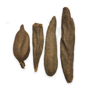 Hierba Tradicional China de Buena Calidad, Raíz de Paeonia, Venta al por Mayor de Extracto de Raíz de Peonía de Grado Alimenticio, Raíz de Peonía de Alta Calidad - Product Image 4