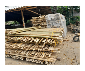 Tubes de bambou massif Luong de 1,5 m pour la construction, le soutien agricole et les meubles, fabriqués au Vietnam - Product Image 6