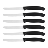 Hete Basis Keuken Steakmessenset 6 Stuks Plastic Handvat Roestvrijstalen Lemmet Steakmes Met Zwarte PP Handvat