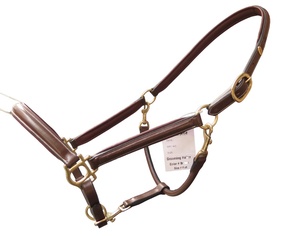 Cabestro de Cuero Genuino para Caballo con Herrajes de Latón, Accesorios Ecuestres, Equipo de Equitación - Product Image 6