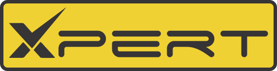 EXPERT INTERNATIONAL logo