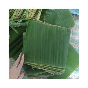 ดีลสุดคุ้มเวียดนาม คุณภาพดี ใบตองสด 100% มาตรฐานส่งออก อายุการเก็บรักษา 12 เดือน สำหรับส่งออก 99 โกลด์ ดาต้า จอยซ์ - Product Image 5