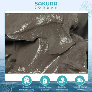 สูตรผลิตภัณฑ์ดูแลส่วนบุคคลที่ดีที่สุด โคลนทะเลเดดซีธรรมชาติที่ผ่านการคัดกรอง / โคลนวัตถุดิบจากทะเลเดดซีที่อุดมด้วยแร่ธาตุที่ผ่านการคัดกรองสำหรับขาย - Product Image 5