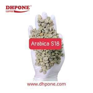 [Standard d'exportation] Grains de café vert ARABICA de haute qualité, 100% naturels, nouvelle récolte 25-26, entièrement lavés, du Vietnam, sac de 60 kg - Product Image 1