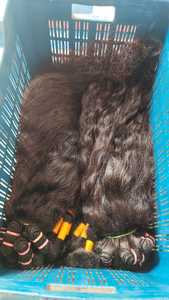TRP 100% Natural Remy Wavy Black Virgin Indian Temple Hair <b>Extensions</b> High Quality Weaving <b>Braiding</b> Machine Double Weft Perm - Product Image 6
