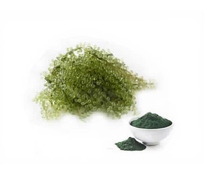Extrait de spiruline en poudre de qualité supérieure, superaliment naturel à base de plantes pour soutenir l'énergie, stimuler la nutrition et favoriser le bien-être quotidien - Product Image 1