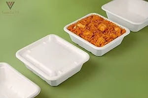 Contenant alimentaire jetable écologique en canne à sucre de 16 oz, 100 % biodégradable, avec couvercle anti-fuite, pour fêtes, exportation - Product Image 2