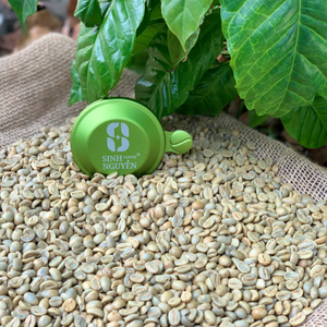 Process Specialty Arabica Green Coffee Beans 100% Miel de grado natural cosechada a mano directamente de la fábrica Vietnam - Product Image 2
