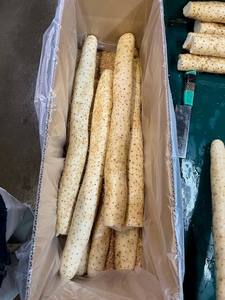 Vendeurs Exceptionnels : Fournisseur de Légumes Frais, Yam Chinois de Qualité Supérieure, Texture Dense, Saveur Riche - Product Image 5